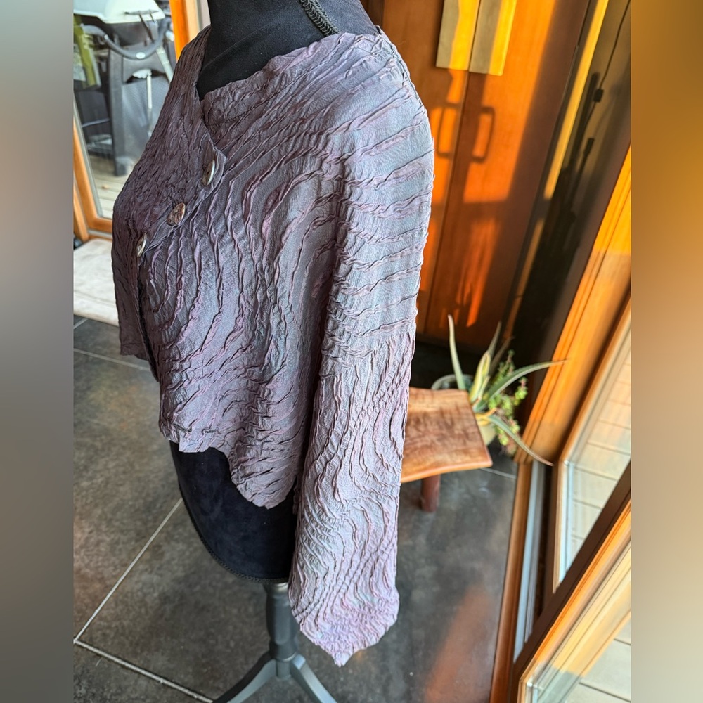 Steel Pony Artisan Silk Crop Jacket, NWOT, 1size - Picture 10 of 16